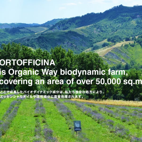 日本初！アンモニアフリー　ローランドオーガニックカラー|une brise