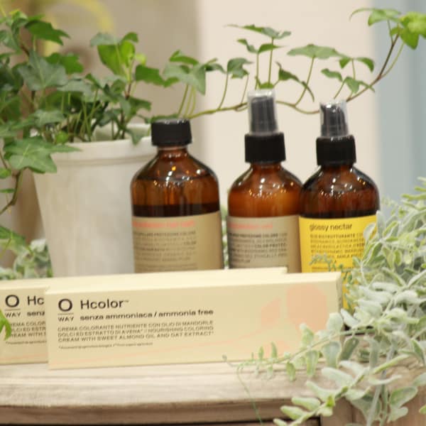 新しいオーガニックを導入。傷んだ髪や白髪もきれいに染まる、髪に栄養分を与える新しいカラーを提案|Anjo