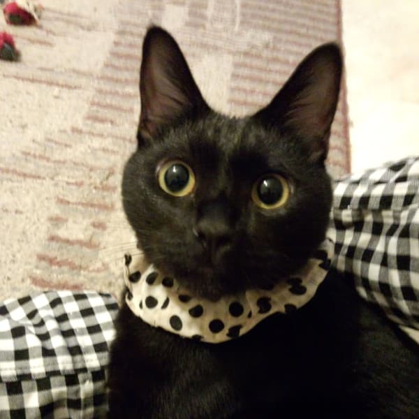 ★セットコース★ボディ60分+ヘッド30分 ¥5500→いつでも税込¥5000!|Bodycare&Relaxation ATOM