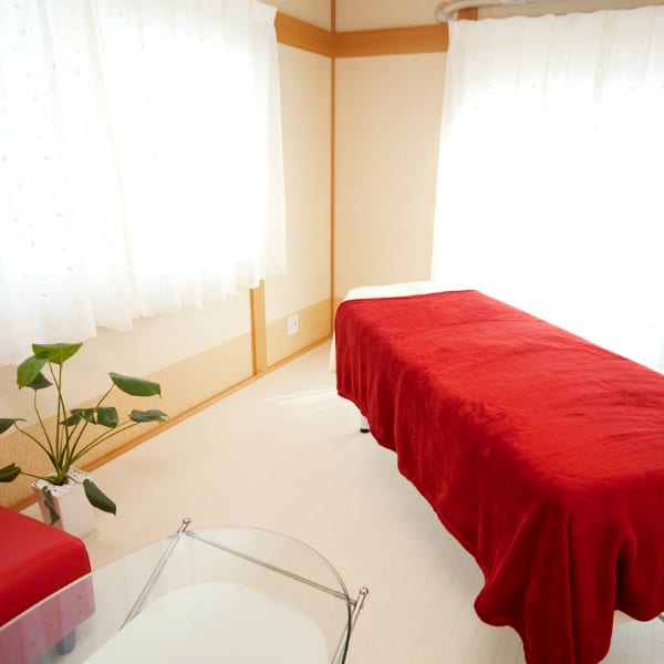 お好きな目元の形になれる☆種類豊富なまつげから選ぶ自由自在で自然な仕上がりに♪|felyma vii