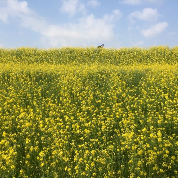 美しい髪は健康な頭皮から！ naturalのスキャルプメニュー！|高円寺の美容室 natural