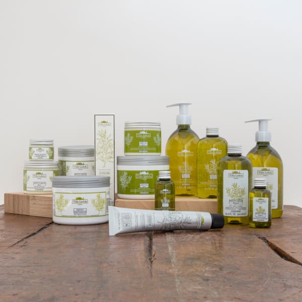 大人気リピート率NO1！ノンシリコーンオーガニックカラー〈ヴィラロドラ〉|PATH coupe de beaute'