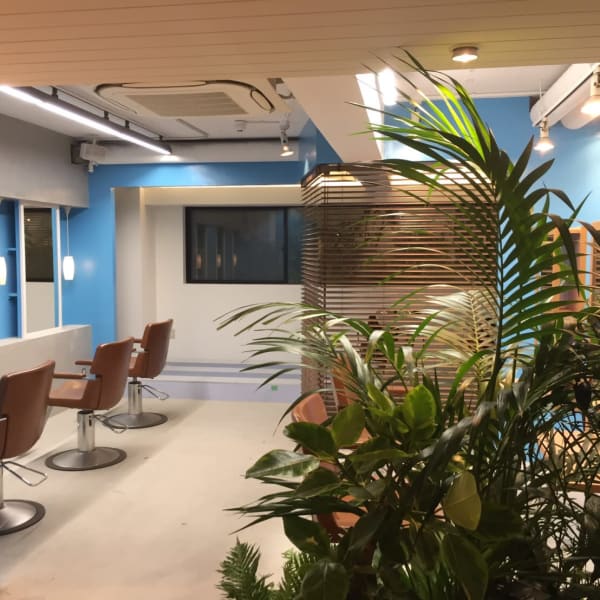 本物の技術と丁寧で信頼できるサービスを、プチプラで体験♪|and blue