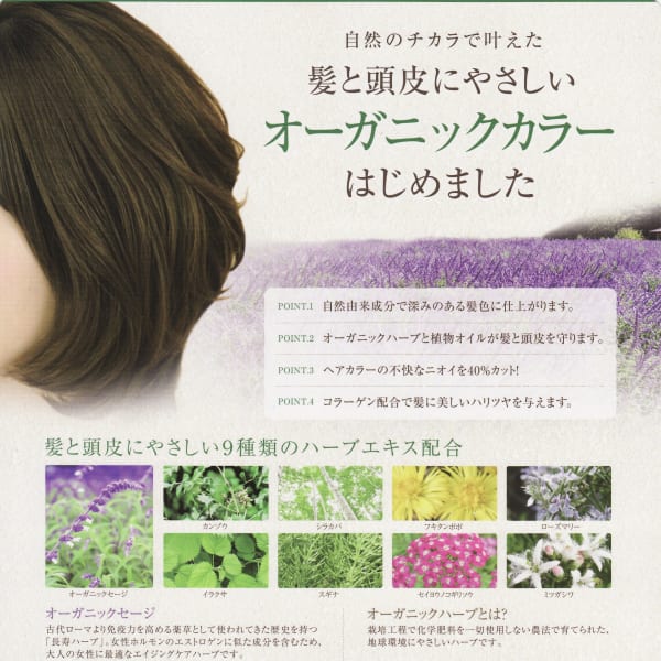 松山市美容院・ハーブカラーで白髪染め|ブルーモスクTOKYO