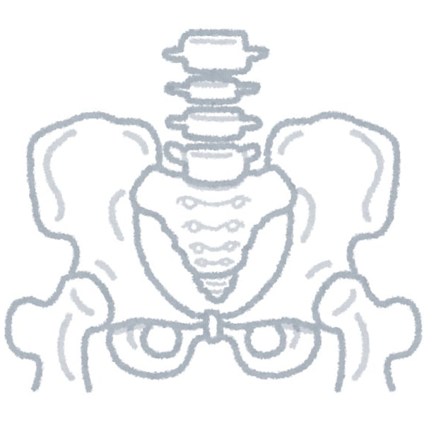 身体の土台である骨盤を整えて健康で美しい身体へ・・・♪|カイロプラクティックしみず