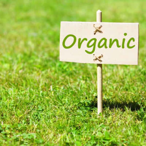 こだわりのオーガニックカラー|Matilda hair private