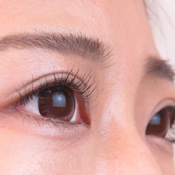 大人気！トリートメントまつげカール　|ROYAL eyelashまつエク・パリジェンヌ・アイブロウ