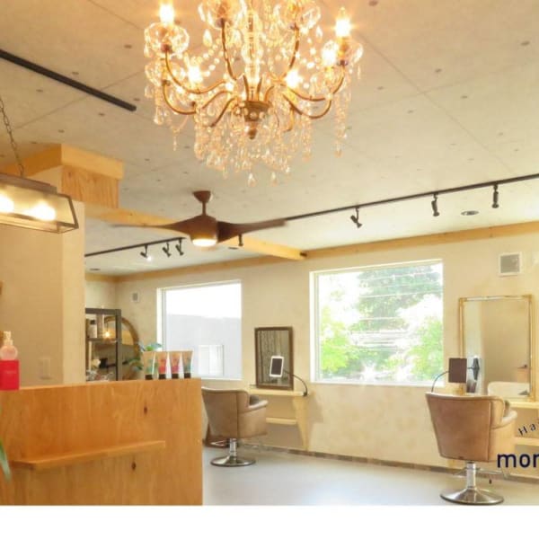 平日限定!カット+グロッシーカラー【最上級】+トリートメントがオススメ|morning star lily