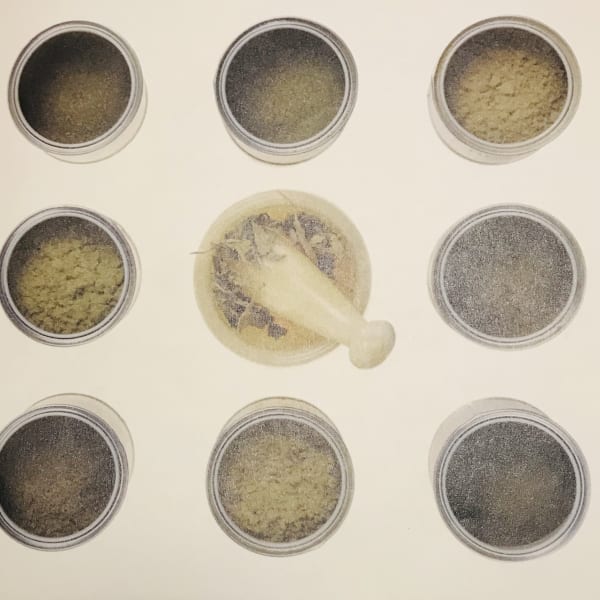 オーガニック スカルプトリートメント +¥1430(オプションメニュー)|ginpa blue