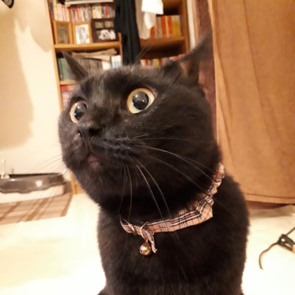 ★セットコース★ボディ60分+小顔30分 ¥5500→いつでも税込¥5000!|Bodycare&Relaxation ATOM