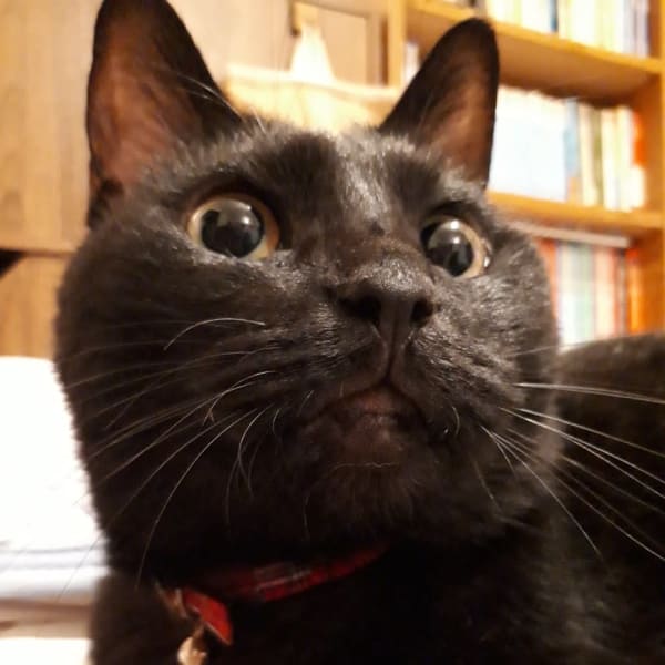 ★女性限定セットコース★小顔矯正30分+骨盤調整30分 ¥4400→いつでも税込¥4000!|Bodycare&Relaxation ATOM