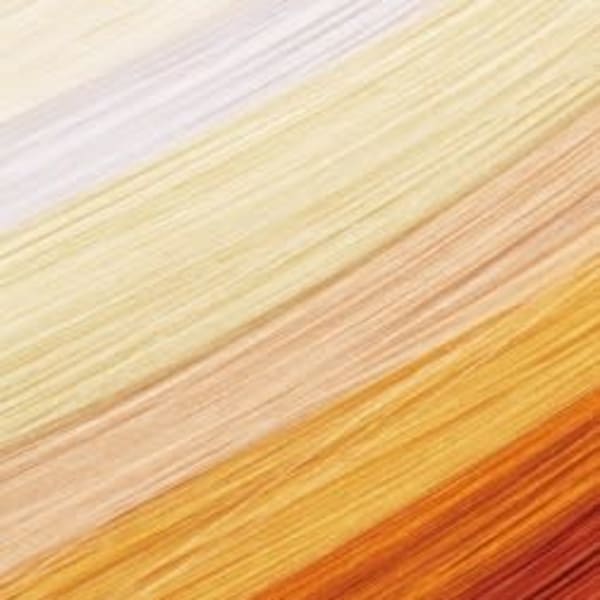 【完全個室】頭皮・髪に優しい薬剤で立体的に魅せるカラー！3Dカラー＋デザインカット⇒￥5400|MEN'S WILL by SVENSON 盛岡スタジオ