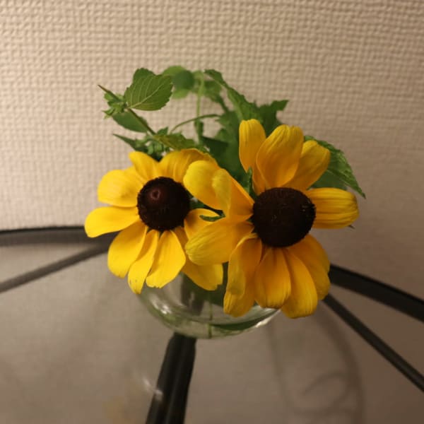 当店人気の”アロマトリートメント”で全身を優しくほぐしてリラックス◎|アロマサロン花恵