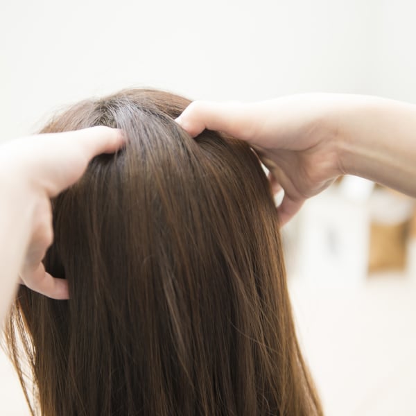 頭と顔は1枚の皮でつながっていています。 顔のたるみは頭皮のたるみが原因とも・・・|coco maison