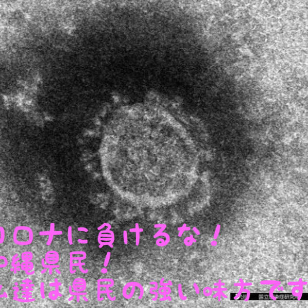 来店時に空ペットボトル(500ml)ご持参で次亜塩素酸水プレゼント♪|アネモステラス~パーソナルヘアサロン~