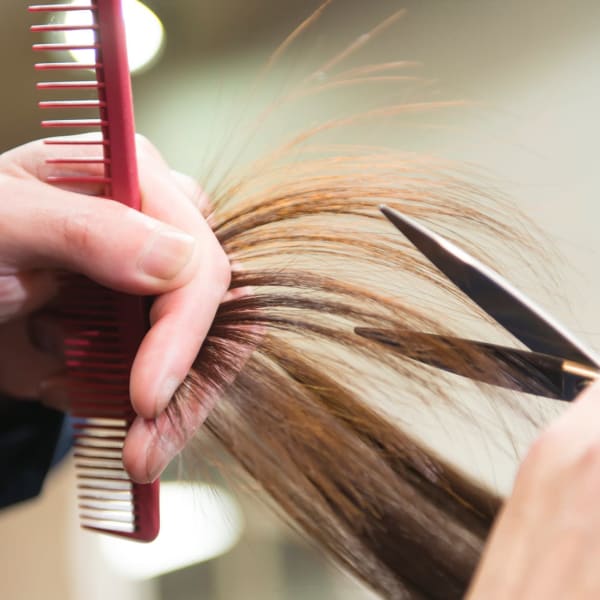 新型コロナウイルス感染拡大防止のため、ただ今予約枠を制限し、貸切営業をしております。|coco maison