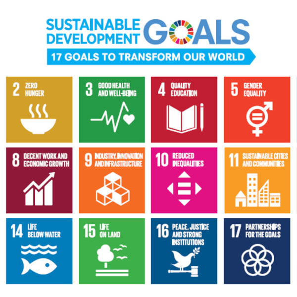 持続可能な取り組みを行っています|髪きりむし