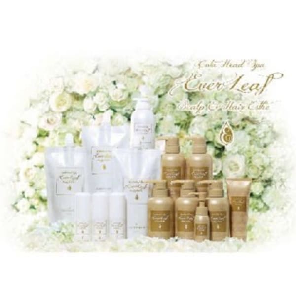 ★プレミアム　エイジングスパ★　ショート(20分)　クイック（30分）　クレンジング（40分）|Ｊ フィドル ファドル