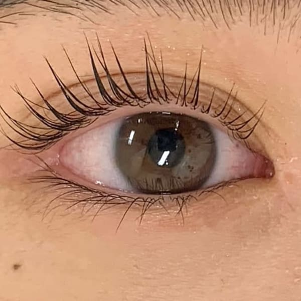 パリジェンヌラッシュリフト|ROYAL eyelashまつエク・パリジェンヌ・アイブロウ