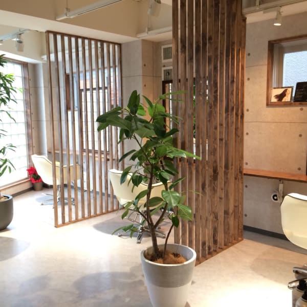 《クレジットカード可》髪質や骨格に合わせてトレンドスタイルをご提案させて頂きます! |Tie