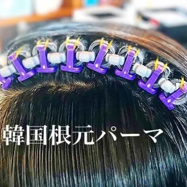 プリカール|Artiste