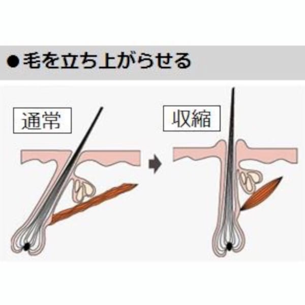 【薄毛予防☆実感型育毛剤】スキャルプビルダー!!!育毛スパ♪¥1100|Hair salon Attirer