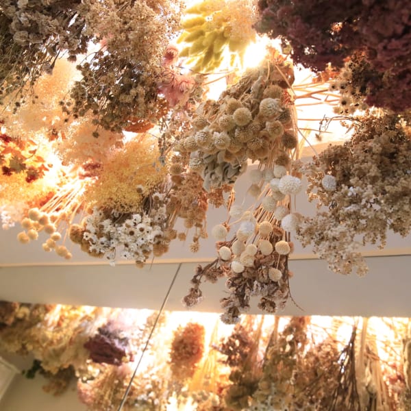 《お子様連れ歓迎》好評♪♪髪質やなりたいカラーに合わせてご提案！オシャレにカラーチェンジ！|hana to kimi