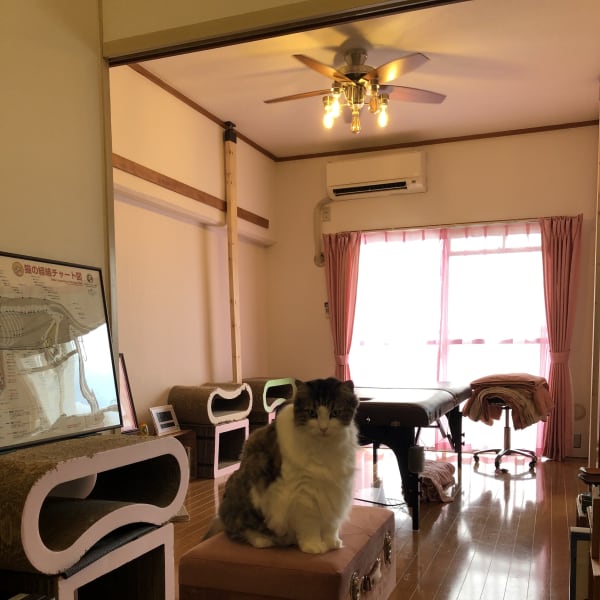 《当日予約歓迎》足ウラ、ふくらはぎの筋肉をほぐして不純物の排出を促進★軽くスッキリを実感!|ほぐし屋おぽおぽ【完全予約制】