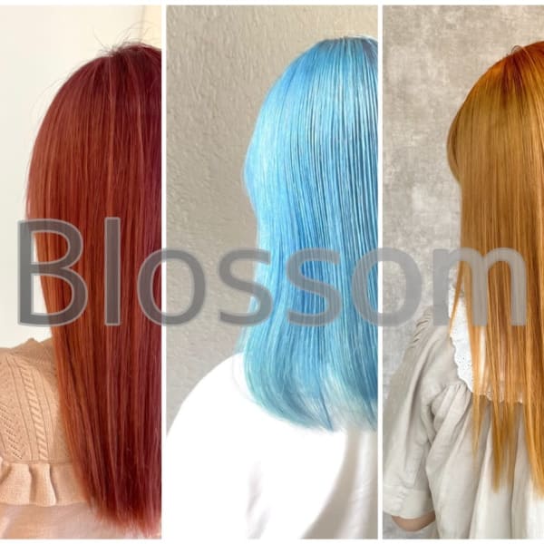 インナカラー、ハイライト、グラデーション、ブリーチを使用したカラー ご相談ください|BL blossom 鶴ヶ島店