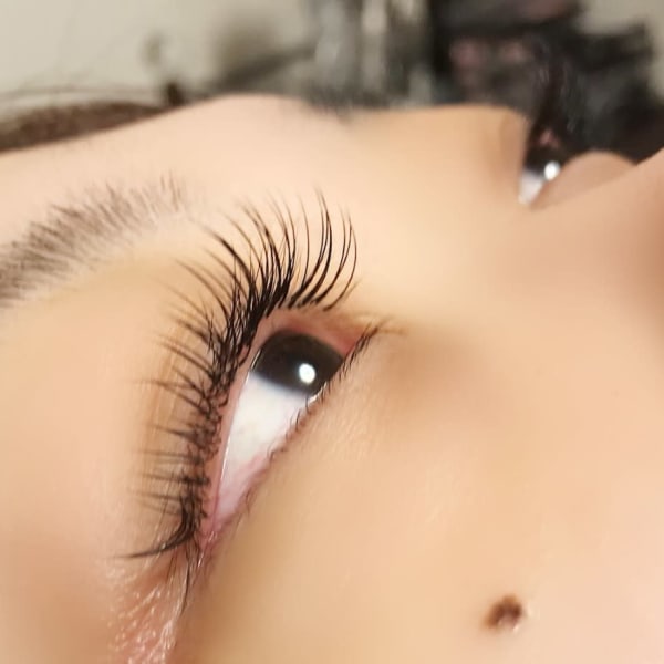 フラットマットラッシュ|Favori~EyelashSalon~ 熊本新市街店