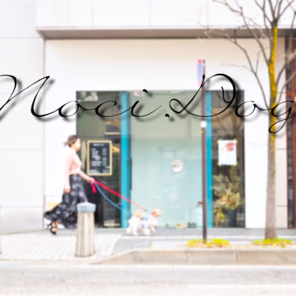 《指通りなめらか》「超音波トリートメント」厳選トリートメントで潤い◎質感◎ツヤツヤヘアへと導きます♪|Noci