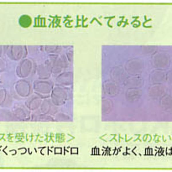 左＝ドロドロ　右＝サラサラ　この画像のモデルは誰？私？|ヘアサロンハラダ