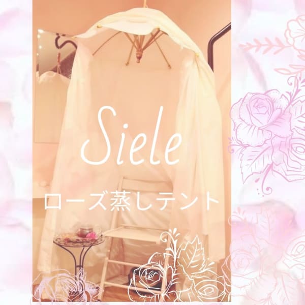 全国でも珍しい本格ローズ蒸しテント女性特有の悩み バスト 肌トラブル 肩こり　|育乳バスト専門ラピシアローズサロンSiele シエル広島店