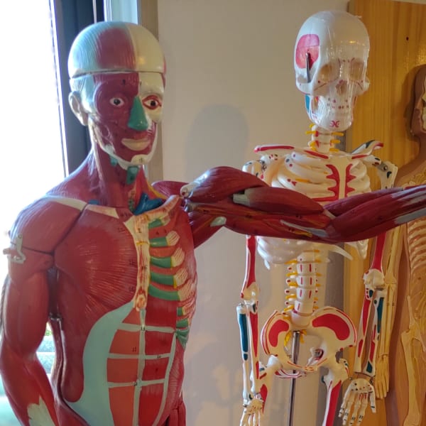 因果関係のある施術|もみほぐし なごみー