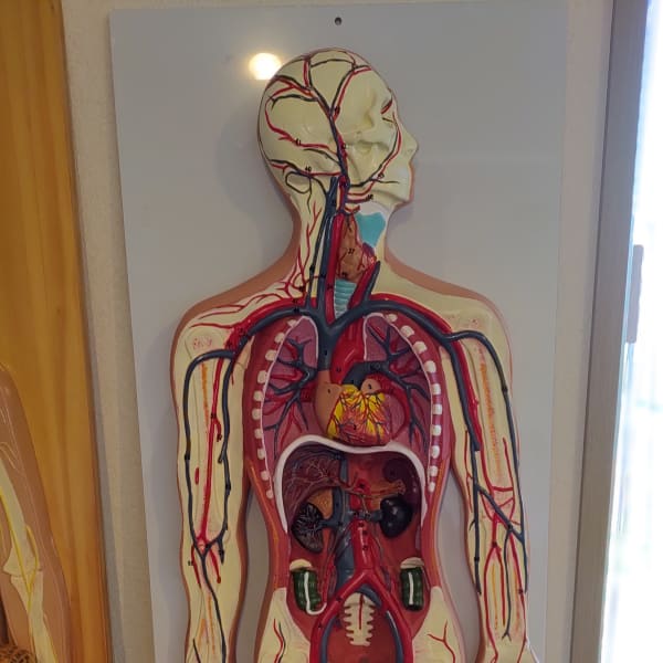 疲労と凝り|もみほぐし なごみー