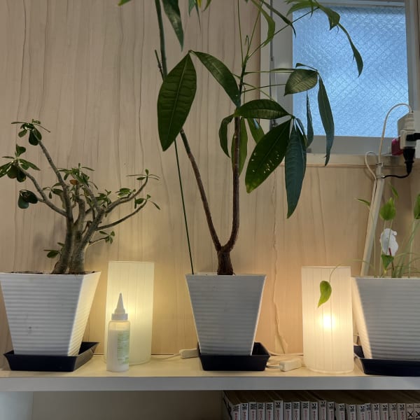 <ヘッドスパが自慢のサロン>落ち着いた空間―。頑張っているあなたへ贅沢なご褒美を♪|OFA'S HAIR 美野島通り店