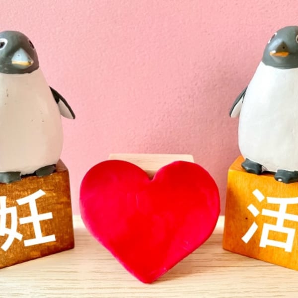 妊活応援コース　初回115分　|【痩身・小顔】Body Styling