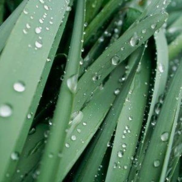 ◆◆◆当店で取り扱っている商品・薬剤について◆◆◆|mariage 博多