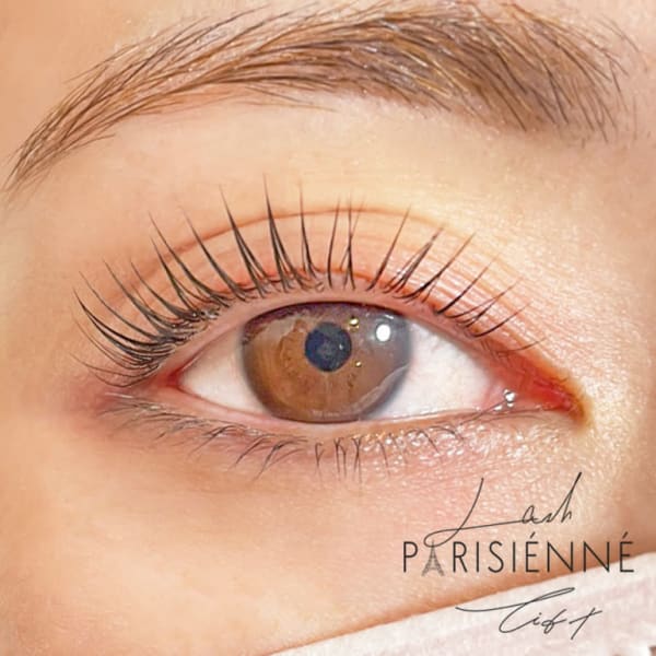 【公式】パリジェンヌラッシュリフト|MOLREVE【モルレーヴ】ボリュームラッシュ/フラットラッシュ/Lカール取扱店