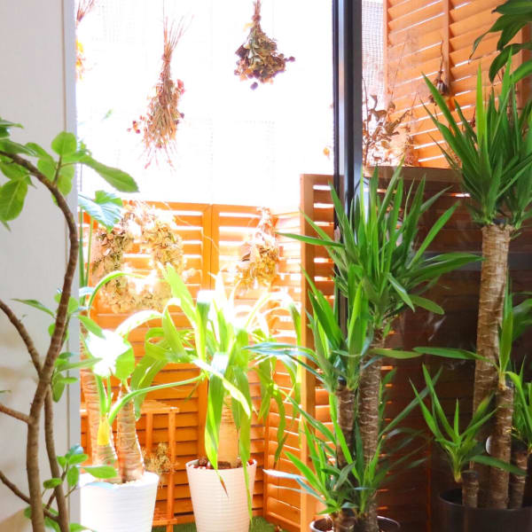 丁寧なカウンセリングで理想のヘアデザインを導きます|Stazio54 神戸 元町 三宮