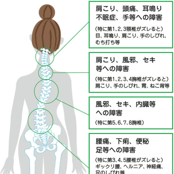 1日整体・健康スクール|カイロプラクティック ゆうな施術院 南光台店