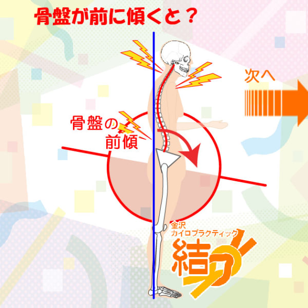 背骨と骨盤の歪みとは？|金沢カイロプラクティック結