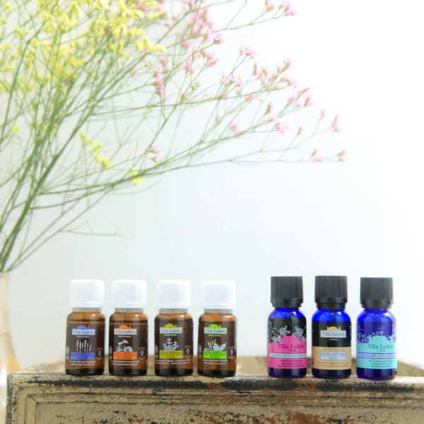 《骨格・顔だちに合わせた繊細なカット☆》扱いやすさ◎磨かれたカット技術でワンランク上のヘアに♪|ioLani