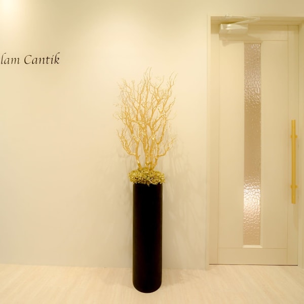 健康的かつ魅力的な身体に!【経路美筋メソッド】筋肉を守る筋膜・筋肉を支え束ねている支帯を整えます◎|Alam Cantik