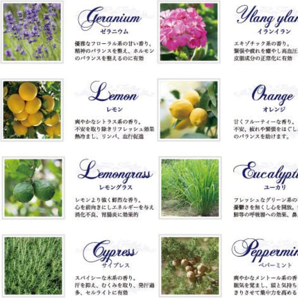 《 アロマスパ 》 日頃の疲れを癒しませんか?仕事帰りにご来店されるお客様、増えてます!|Boemo hair-make