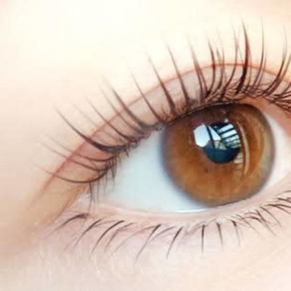 《クレジットカード可》【フラットマットラッシュ】軽い!柔らかい!濃い!美まつげを手に入れましょう♪|HeaRich-eye