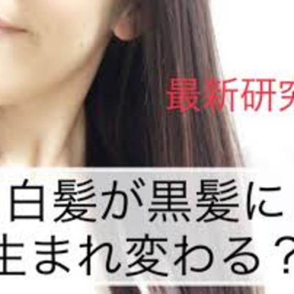 白髪は黒髪に戻せる！？理化学研究所共同開発　白髪改善　頭皮洗浄スパ付　|alpina 菅谷店