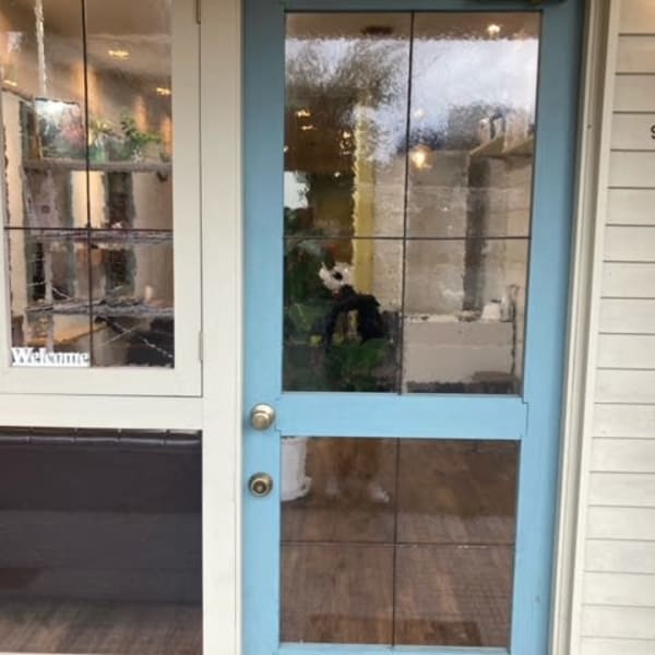 低価格でも可愛くなれる♪美しい髪色☆彡充実したデザインカラーから”似合わせ技術”であなた色に♪♪|hair salon oto