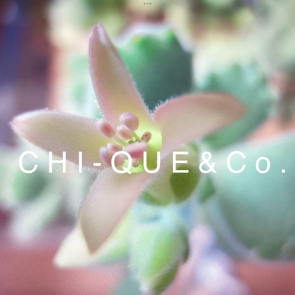 炭酸クレンジングシャンプー|CHI‐QUE&Co.