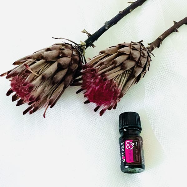 【Limited】ホリデーラブブレンドオイル|NADI YOGA SALON